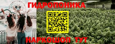 2c-b Берёзовский