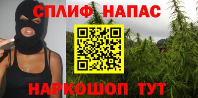 амф Бийск