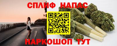 амф Бийск