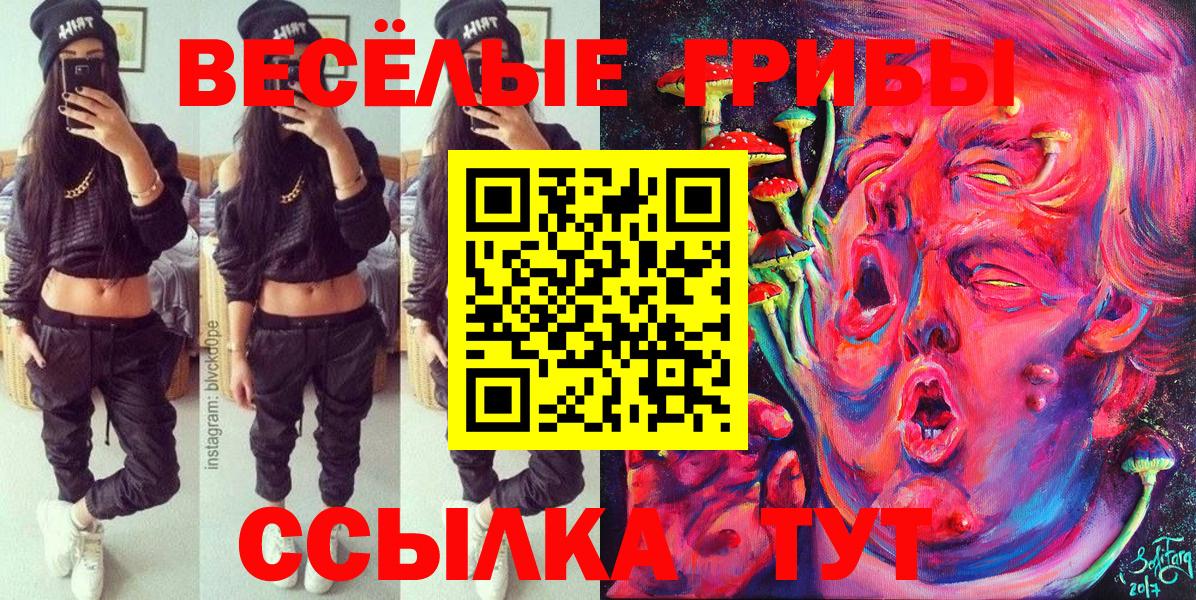 Галлюциногенные грибы GOLDEN TEACHER  Вход с VPN  Псилоцибиновые грибы мухоморы  Заволжье 