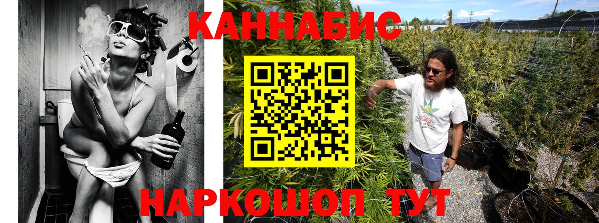 Шишки марихуана семена  Вход с VPN  Шишки марихуана AK-47  Шишки марихуана LSD WEED  Заволжье  Каннабис тримм 